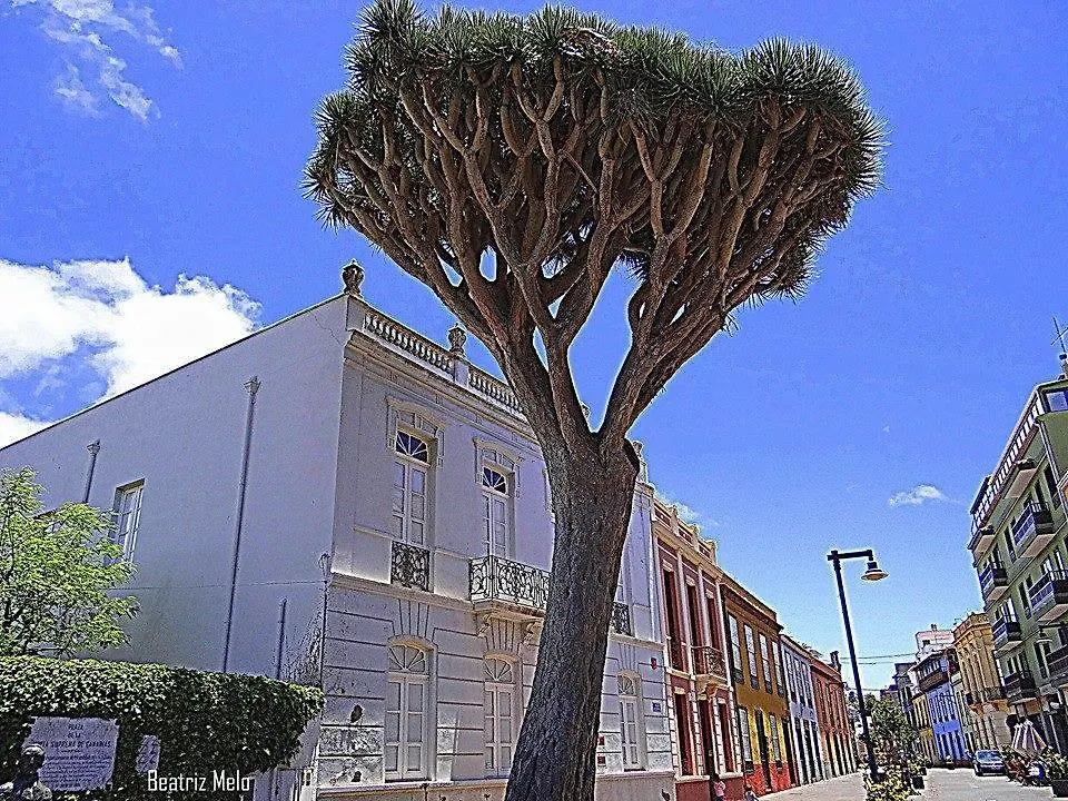 Apartment Apartamento Belen La Laguna  Spain